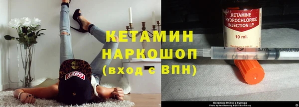 индика Карпинск