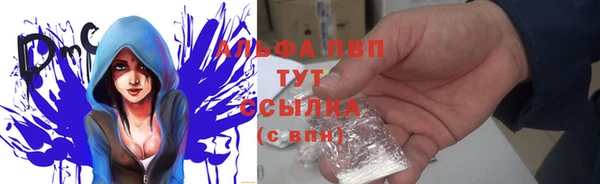 гашик Каменка