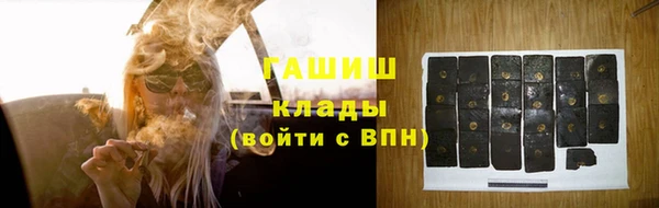 индика Карпинск