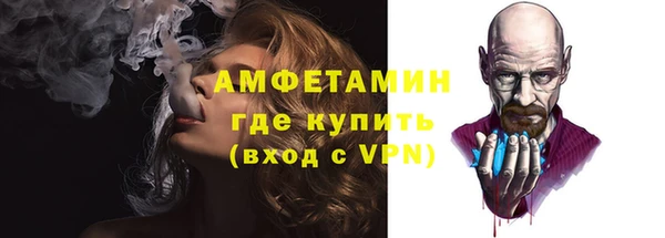 индика Карпинск