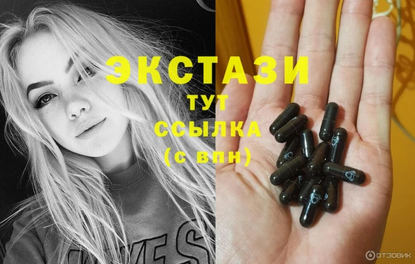 индика Карпинск