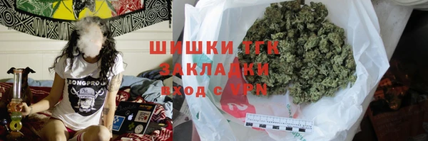 индика Карпинск