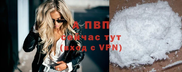 гашик Каменка