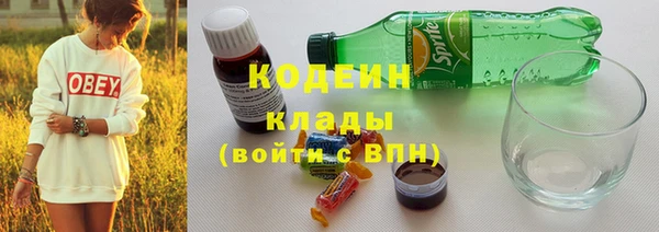 индика Карпинск