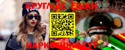 a pvp Гатчина
