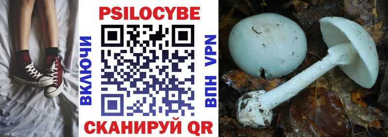 даркнет клад  Конаково  Псилоцибиновые грибы Psilocybine cubensis 